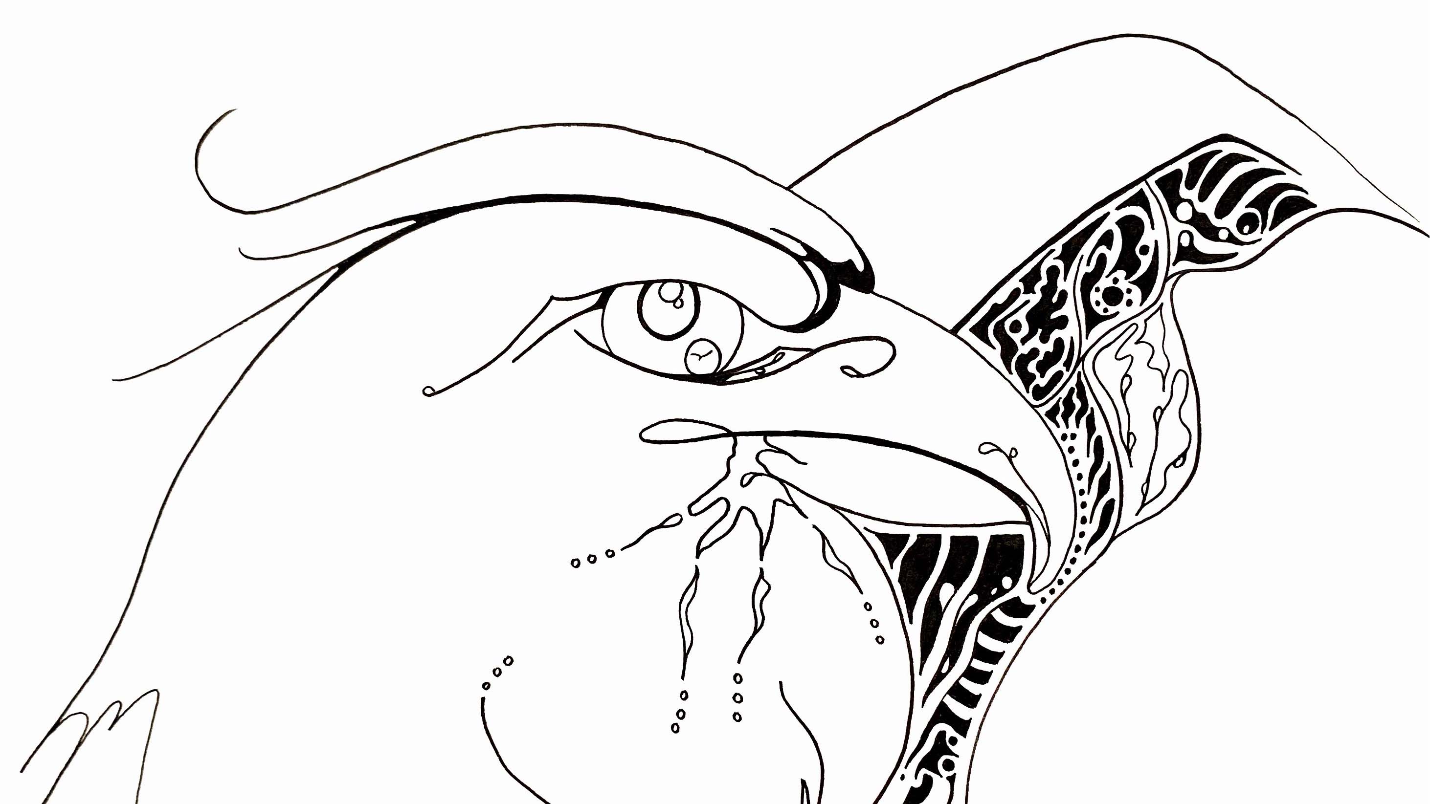 December Born? Your Spirit Animal Will Shock You! - x4lek1m